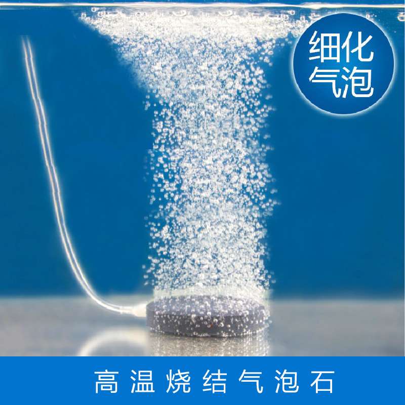 鱼缸增氧气泵纳米气盘石微纳米气泡石极细细化器气泡盘高溶氧气饼高清大图