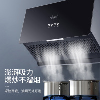 巧太太(qiaotaitai) CXW-210 中式油烟分离顶吸式大吸力抽油烟机家用 厨房脱排小型吸油烟机壁挂自动清洗