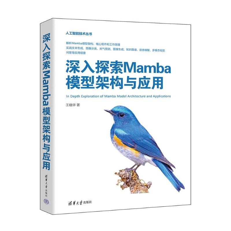 正版新书】深入探索Mamba模型架构与应用王晓华9787302681571