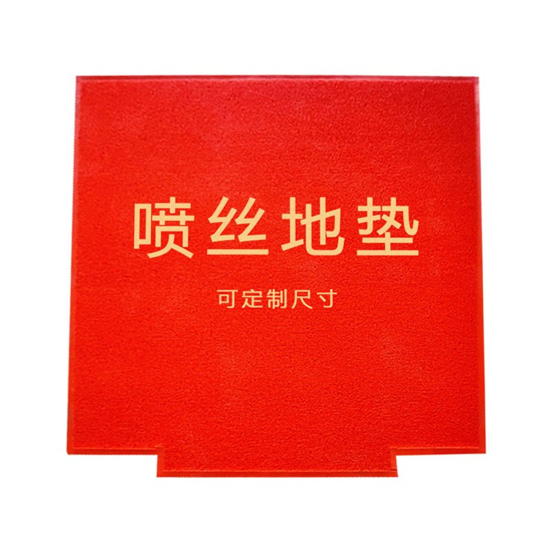 厚玖 加厚喷丝电梯地垫欢迎光临logo迎宾地毯尺寸定制