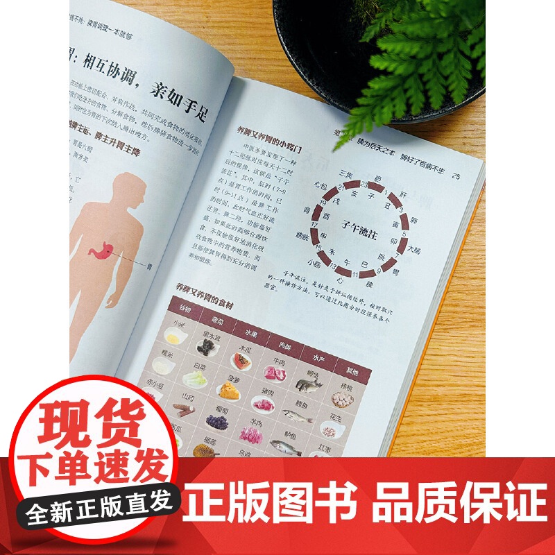 脾不虚病不找:脾胃调理一本就够高清大图