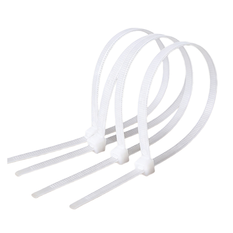 瑞季勤 尼龙扎带 4*150mm 500根/包高清大图