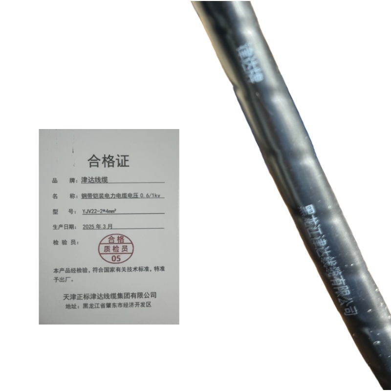 津达线缆 钢带铠装电力电缆电压0.6/1kv YJV22-2*4mm² 米高清大图