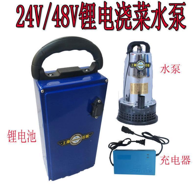 水管一圈 直流潜水泵电瓶泵充电浇菜浇水泵抽水泵12V24V48V水泵便携式充电