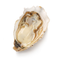 [鲜活]WECOOK 味库鲜活乳山生蚝 海蛎烧烤食材 净4.5斤装200-150g/只(约11-15只)