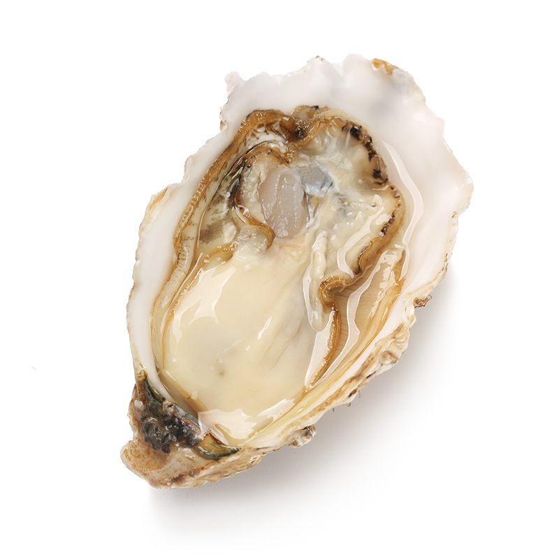 [鲜活]WECOOK 味库鲜活乳山生蚝 海蛎烧烤食材 净4.5斤装200-150g/只(约11-15只)