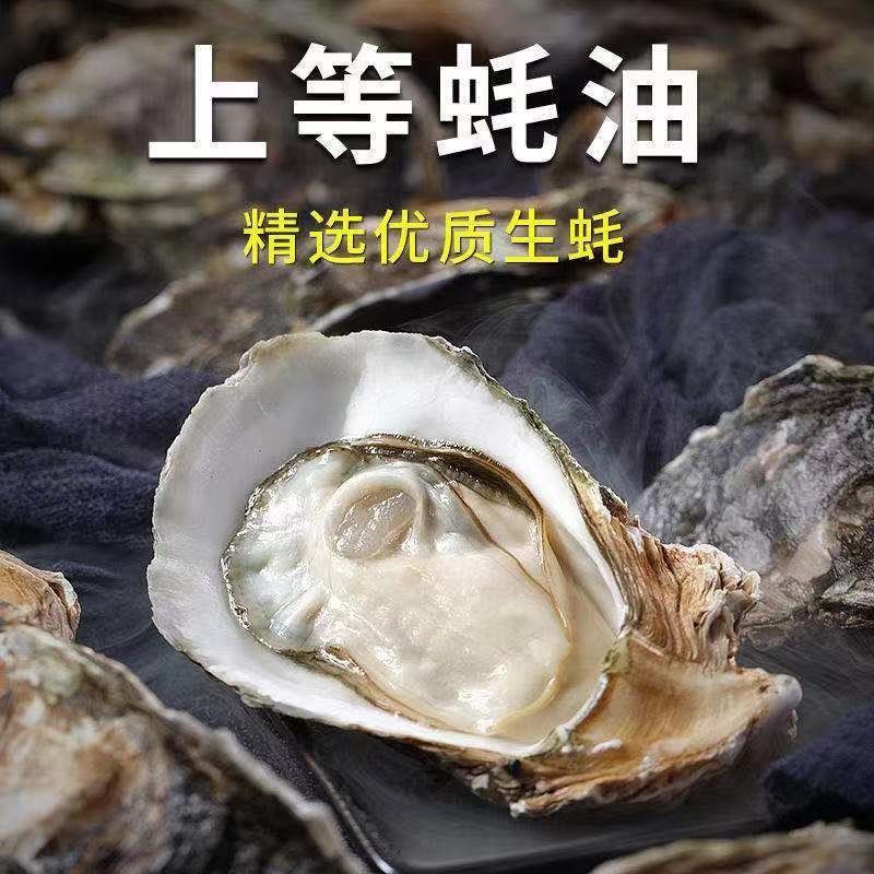 [5斤蚝油]金标正宗上等蚝油耗油大桶批发大瓶特级高级桶装10g 10g小袋蚝油[不划算]