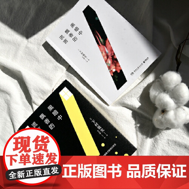 黑暗中飘香的谎言 下村敦史 湖南文艺出版社 正版书籍高清大图