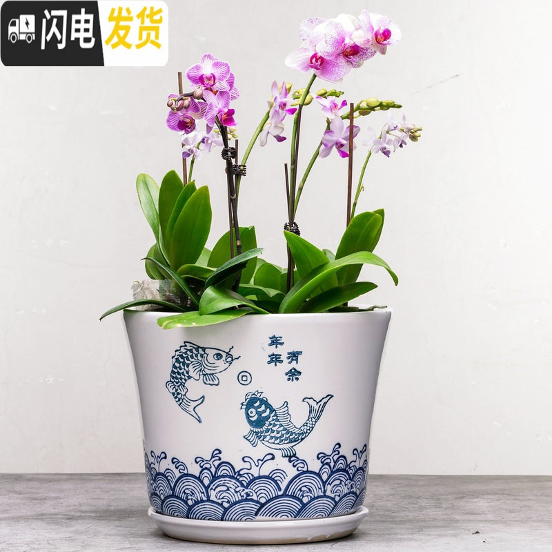 三维工匠创意花盆陶瓷分体托盘花盆陶瓷大号特大大盆多肉盆栽个性花盆 025灰画线 外直径23cm花盆容器