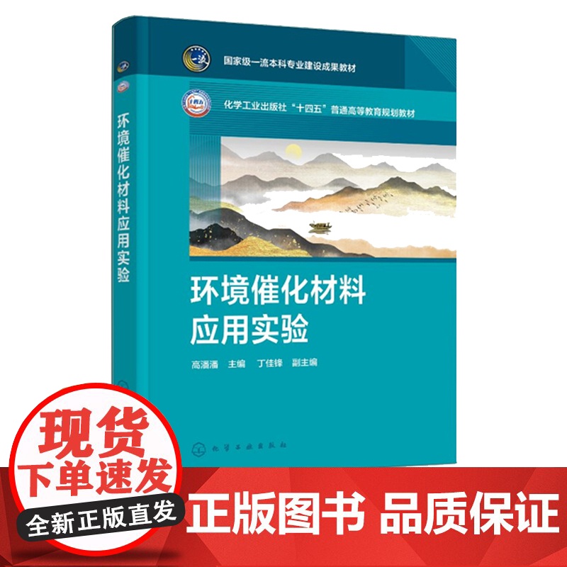 环境催化材料应用实验 高潘潘 丁佳锋 化学工业出版社高清大图