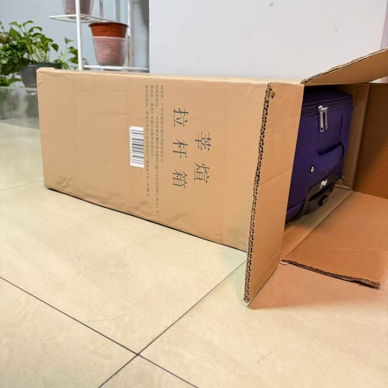 莘煊 拉杆箱 20寸 个高清大图