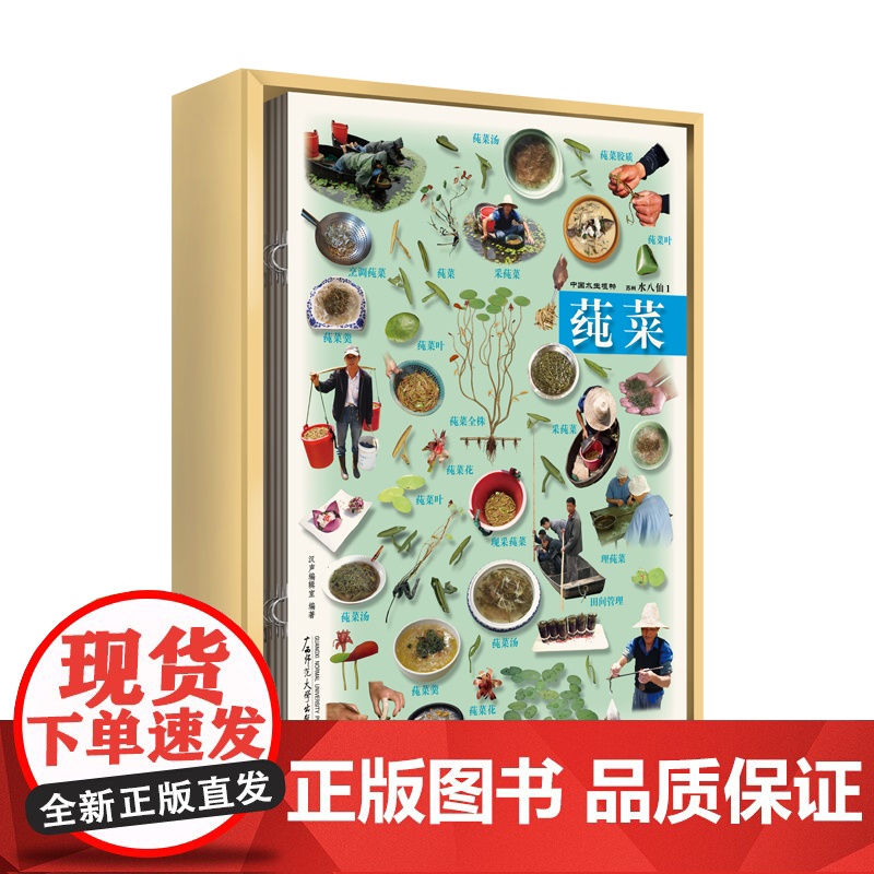 纯粹·中国水生植物:苏州水八仙 汉声编辑室编著 水八仙 饮食文化 文化 水八仙菜肴 广西师范大学出版社高清大图