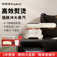 荣事达蒸汽电熨斗RS-YD1050E