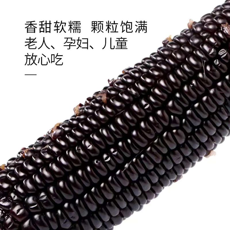天地粮人 有机黑糯玉米 220g*10支(单位:盒)高清大图