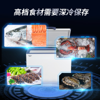 澳柯玛(AUCMA) DW/BD-56W192HE 192升-60℃商用大容量大型保鲜冰柜超市冷冻冰箱展示柜卧式保鲜