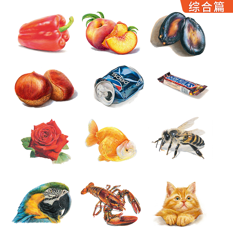 [醉染正版]彩铅临摹卡花卉篇+动物篇+美食篇+综合篇四册 一线美誉步骤对应视频教学美术绘画卡片兴趣高清原创彩铅美术临摹学高清大图