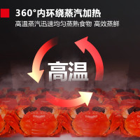 德玛仕(DEMASHI)双门三门12盘商用蒸饭柜食堂蒸柜蒸饭车海鲜电蒸箱蒸包炉器蒸饭机全自动蒸饭箱ZFG-12G-2