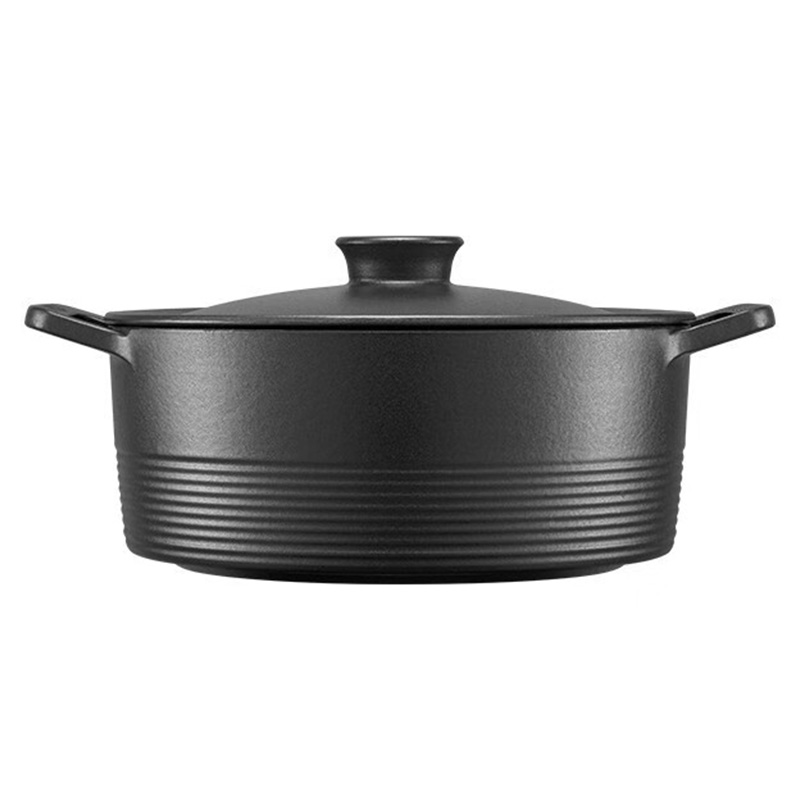 双立人珐琅锅26cm龙铸铁锅饭釜锅双耳锅哑光黑66040-260