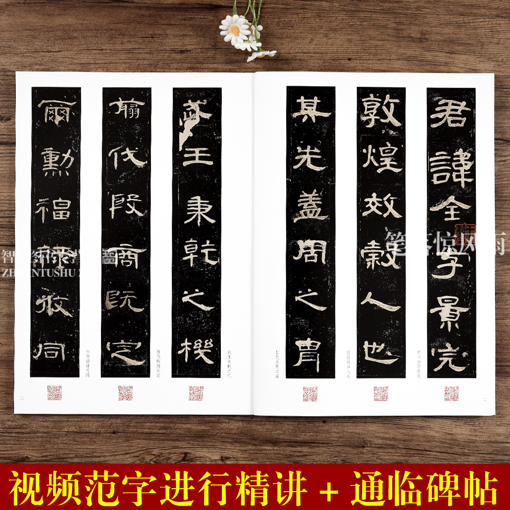 [正版]曹全碑 名家教你写视频精讲版 隶书碑帖简体释文通临教程书法初学者辅导班用书入门基础字帖 河南美术出版社高清大图