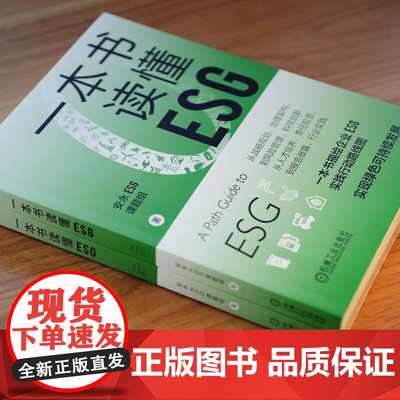 正版 一本书读懂ESG 安永ESG课题组 著 一本书描绘企业ESG实践路线图 9787111753902 机械工业出高清大图