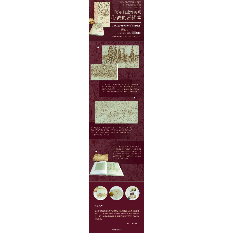 正版新书]凡.高的素描本(加)博戈米拉·韦尔什-奥夫恰罗夫 著 赵高清大图