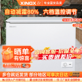 星星（XINGX）BD/BC-300JKE家用商用大容量冷藏冷冻转换单温卧式冰柜厨房商用保鲜设备微霜预涂内胆冰柜