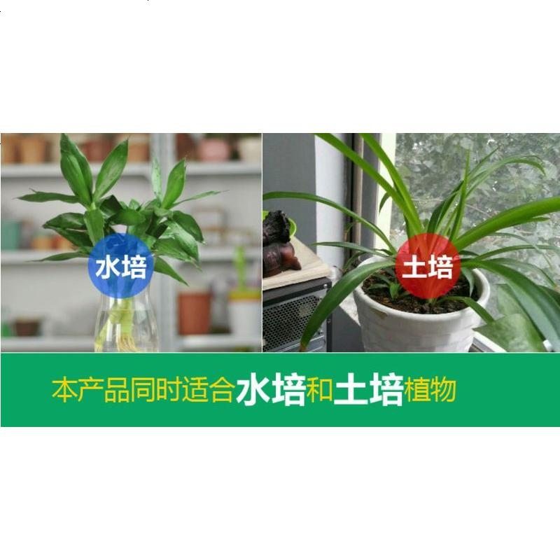 馨诺家庭园艺浓缩营养液多肉型250ml水培液体肥 园艺用花卉肥料