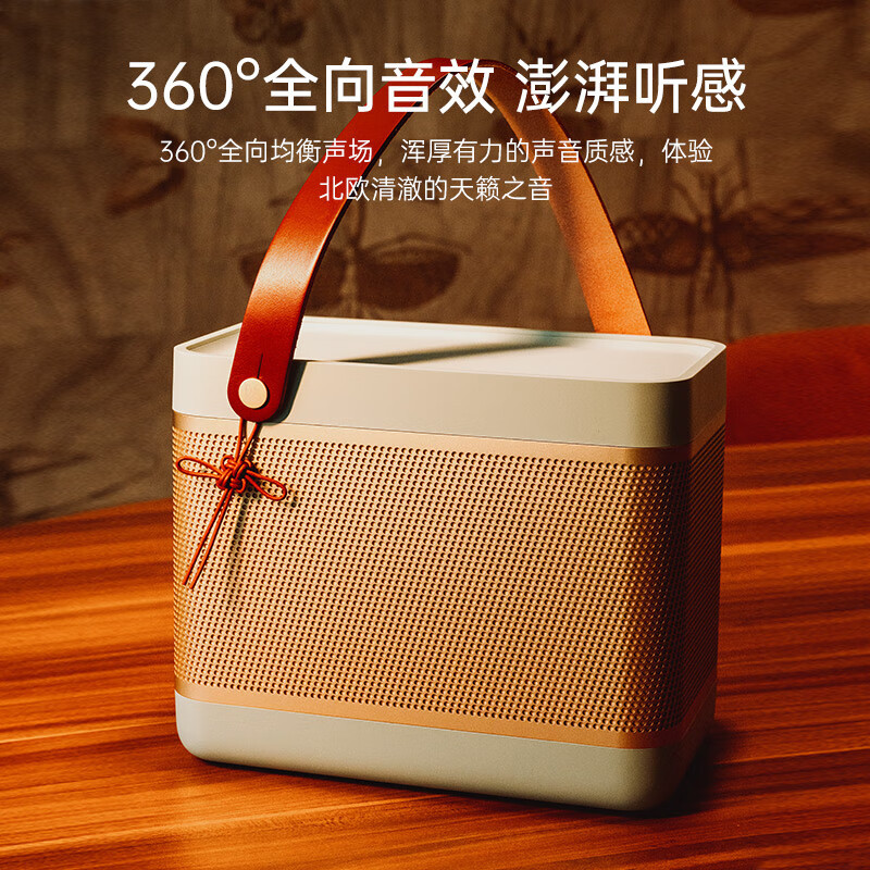 B&Obeoplay Beolit 20 便携式音响音箱 丹麦bo室内桌面音响 Jade Green 玉笛青 新年款