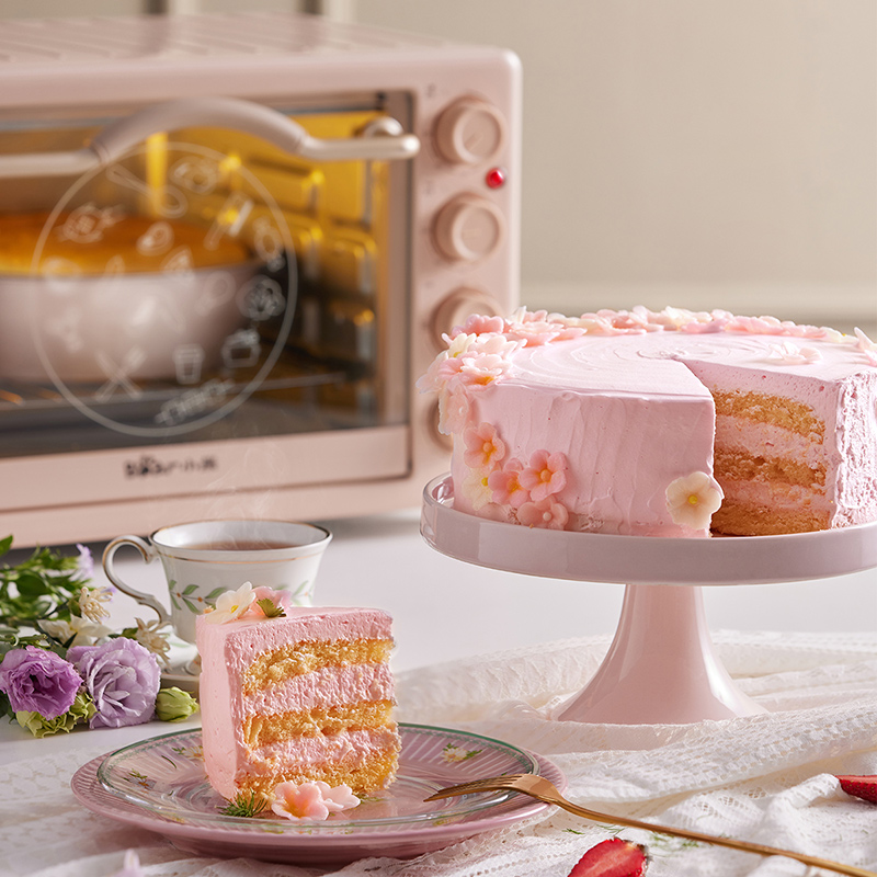 小熊(Bear)电烤箱多功能家用迷你小型烤箱独立控温20L烘烤蛋糕烤炉 上下独立温控 烘焙神器 DKX-C20G2高清大图