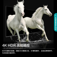 海信(Hisense) 电视HZ43E3D 43英寸彩电 4K超高清 超薄无边全面屏 智慧语音 人工智能液晶平板电视