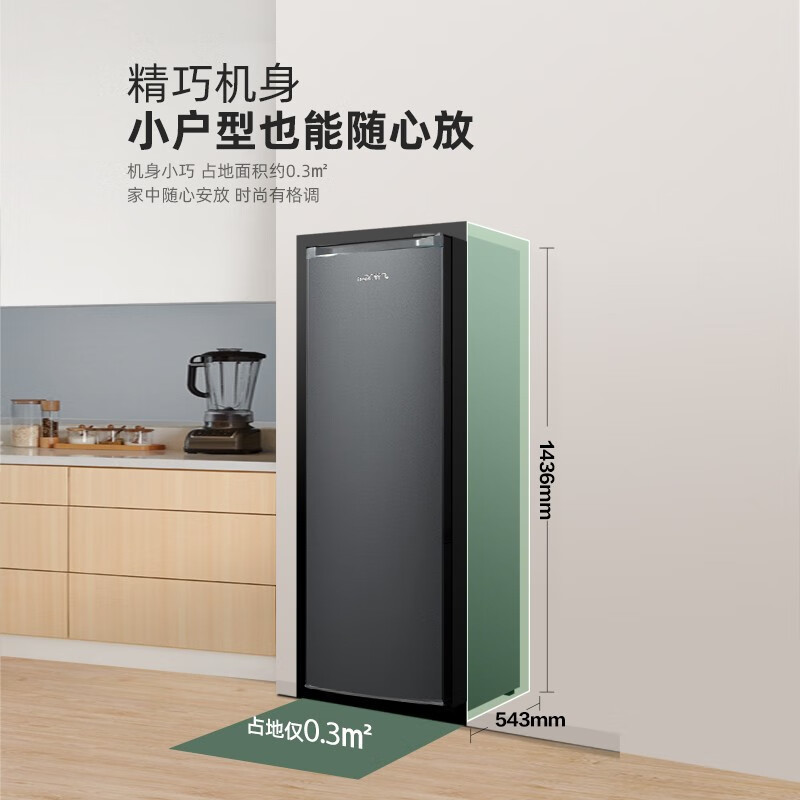新飞180升立式冰柜单温冷冻柜家用租房母婴冷柜抽屉分区一级能效省电节能立式冷柜冷冻柜BD-180LKAT 180L高清大图