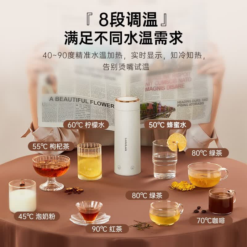 乐扣乐扣(LOCK&LOCK)电热水杯EJC3735WHT 便携式烧水壶旅行加热水杯居家烧水杯电热水壶外出烧水壶便携高清大图