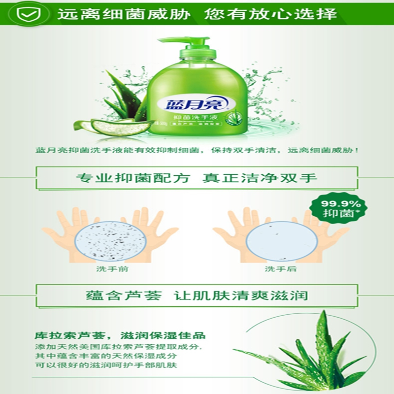 蓝月亮洗手液杀菌消毒液300ml家用免洗泡沫型抑菌滋润补充装500g