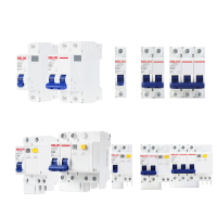 德力西漏电保护器 2P63A32a空气开关断路器DZ47电闸家用 空开漏保