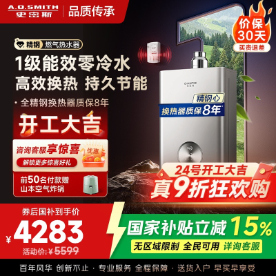 AO史密斯佳尼特 1级能效16L零冷水燃气热水器 JSLQ28-TJ3