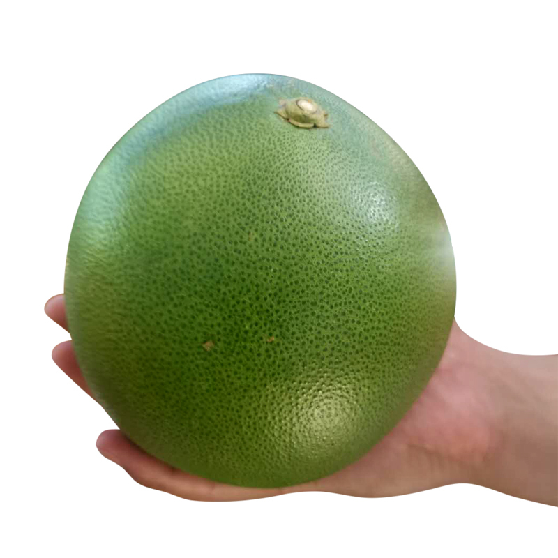 泰国进口安帕瓦蜜柚泰国蜜柚新鲜水果4斤左右2个装