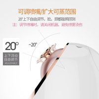 美克斯(MKS)蒸脸器 NV8385触屏补水保湿仪家用美容仪器冷热香薰蒸脸器 脸部加湿器 防尘蒸脸仪补水仪