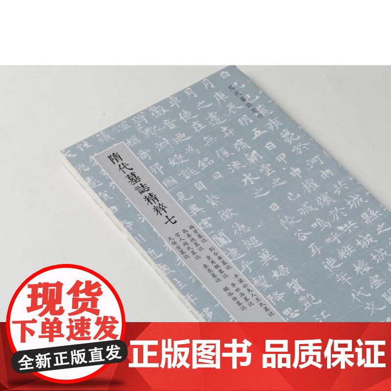 隋代墓志精粹七杨景刘令华平梁公夫人王氏高善德皇甫颢李世洛宫人赵氏袁亮独孤俭元保宜 本社编上海书画出版社精选书法资料鉴赏高清大图