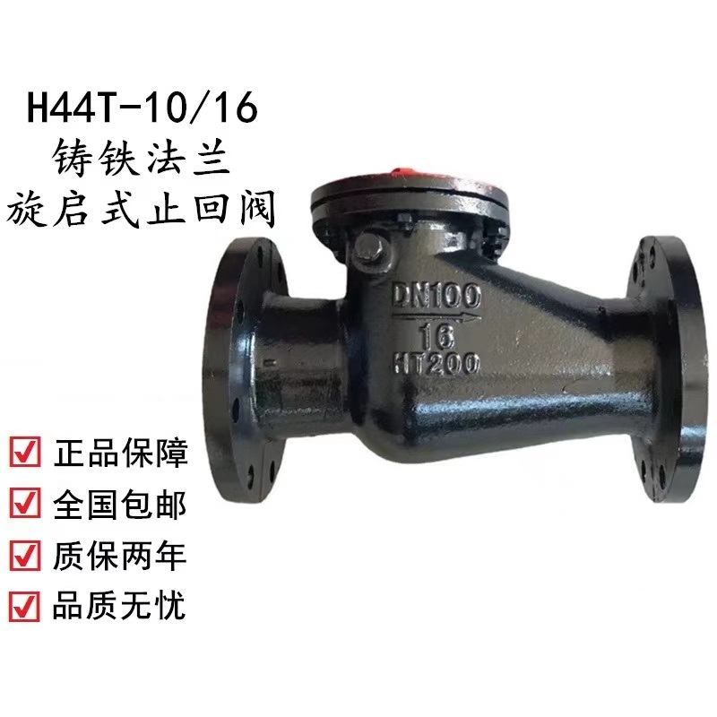 伟鹏双兴 铸铁法兰旋启式止回阀 DN80 台高清大图