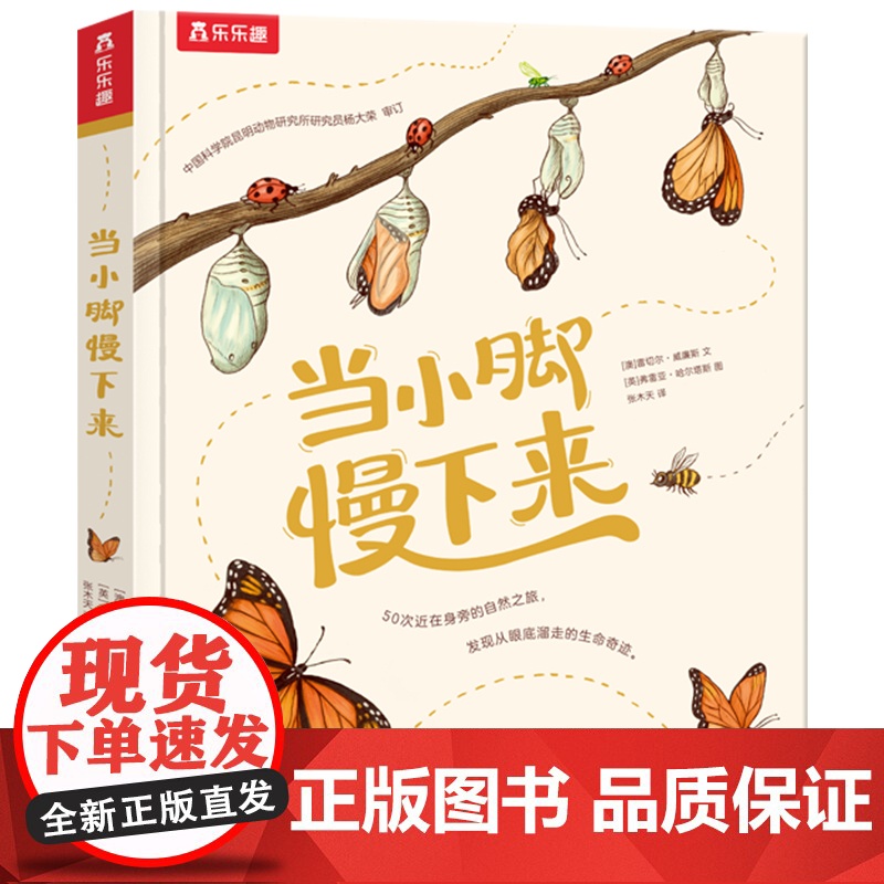 当小脚慢下来 50个科普故事 400幅纯美插画 帮你重拾容易被忽略的自然之美 会讲故事的自然科普绘本 陕西人民教育出版社