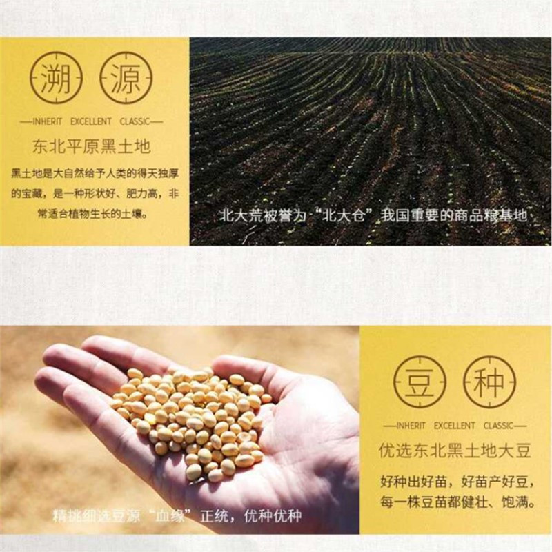 精炼 一级大豆油