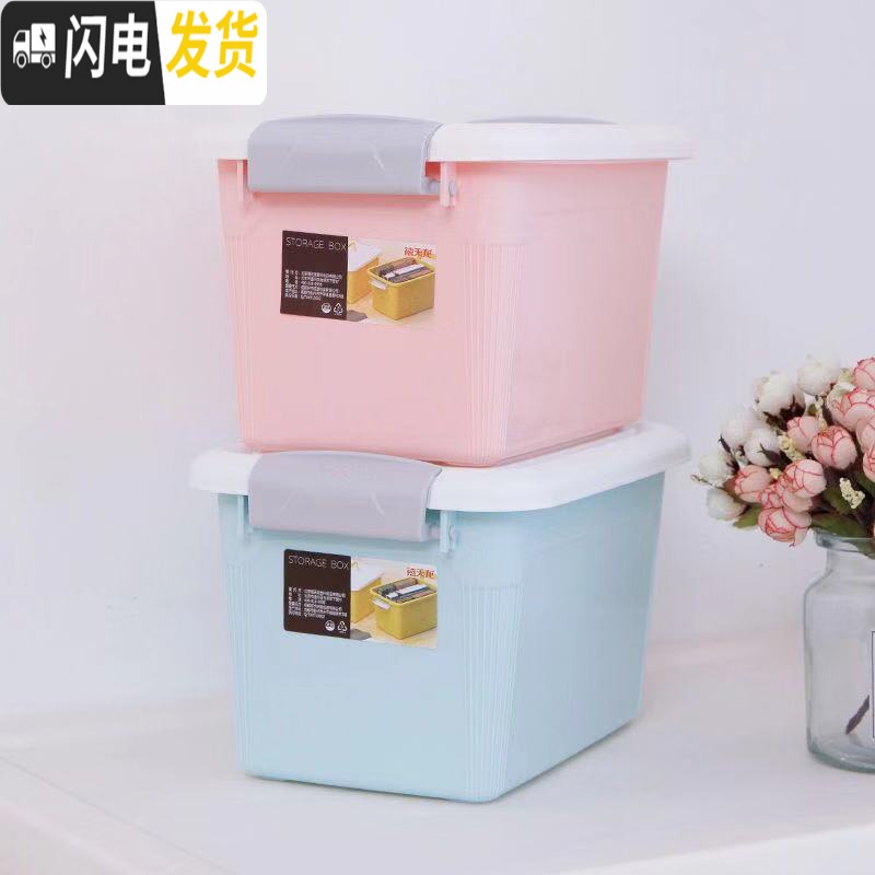 三维工匠X-透明手提零食摆件收纳整理箱储物箱收纳箱塑料小号箱高清大图