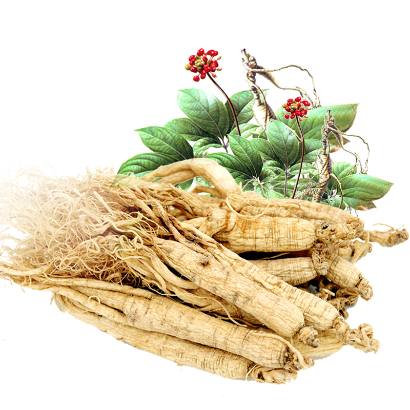 东北特产长白山特产人参1克整支装干白参生晒参 可搭配枸杞鹿茸黄芪煲汤泡酒33 非权禄东北人参片山参