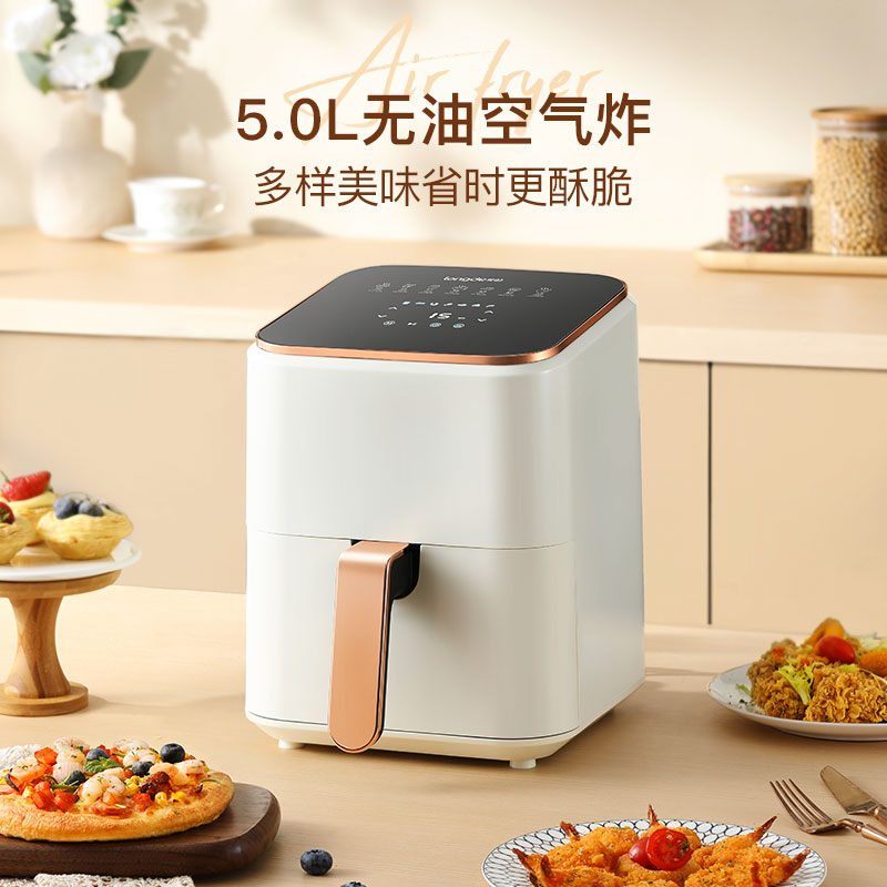 龙的(longde)电炸锅空气炸锅LD-KL5276