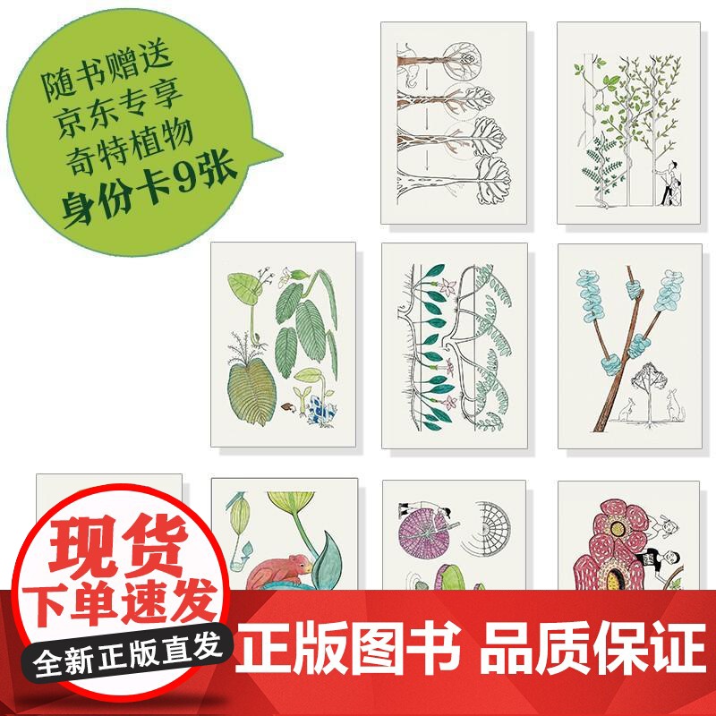 诗意图鉴非常植物 弗朗西斯?阿雷FrancisHallé北京联合出版公司高清大图
