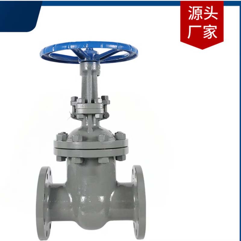 阀门 DN100阀门(闸阀)高清大图
