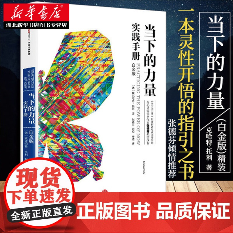 当下的力量 实践手册(白金版) 心灵书作家张德芬作序 如何创造性地使用你的大脑 如何利用你的消极心态 湖北新华正版