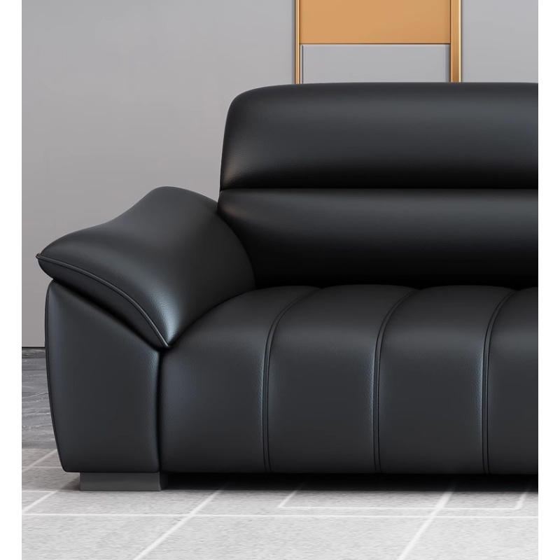 彭梵洽谈沙发高清大图