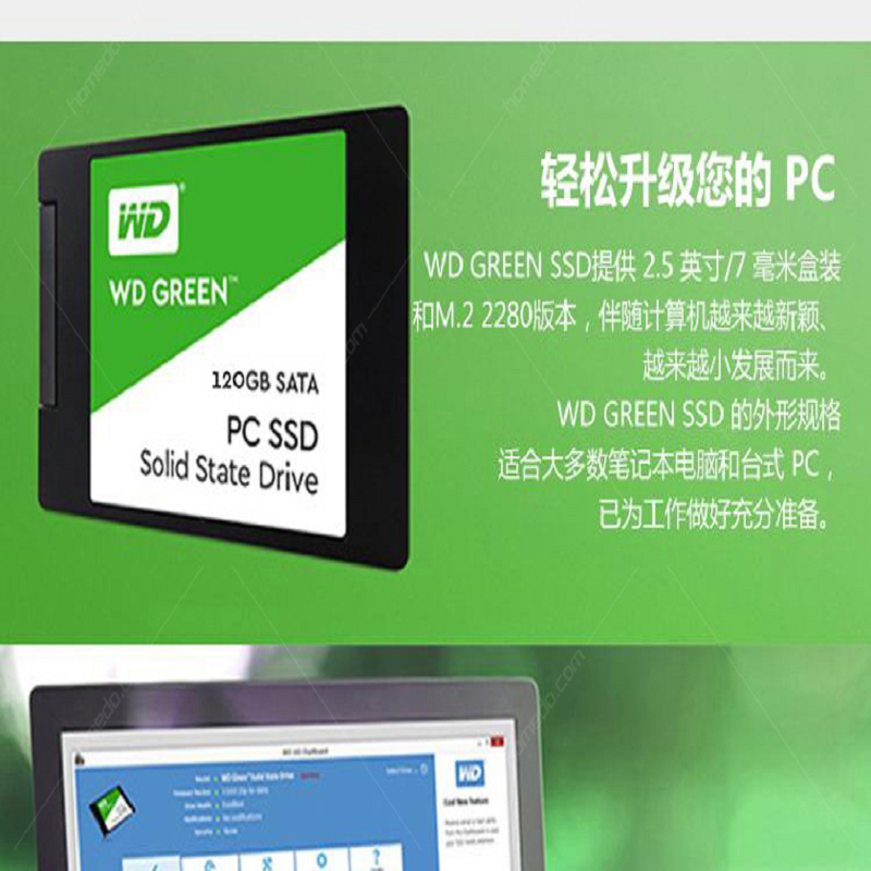 西部数据(WD) WDS120G2G0A 120G/SATA3.0 固态硬盘 (计价单位:个) 绿色