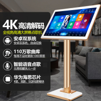 炫宝迪 家庭ktv音响套装专业家用卡拉ok点歌一体机功放音箱全套 [流行款]22寸/6T
